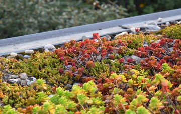 the cost of Gerrick green roof installation