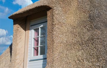Gerrick thatch roof disadvantages