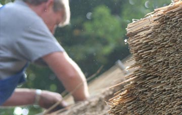 professional Gerrick thatchers