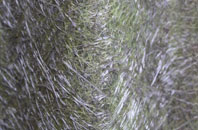 Gerrick fibreglass roof work